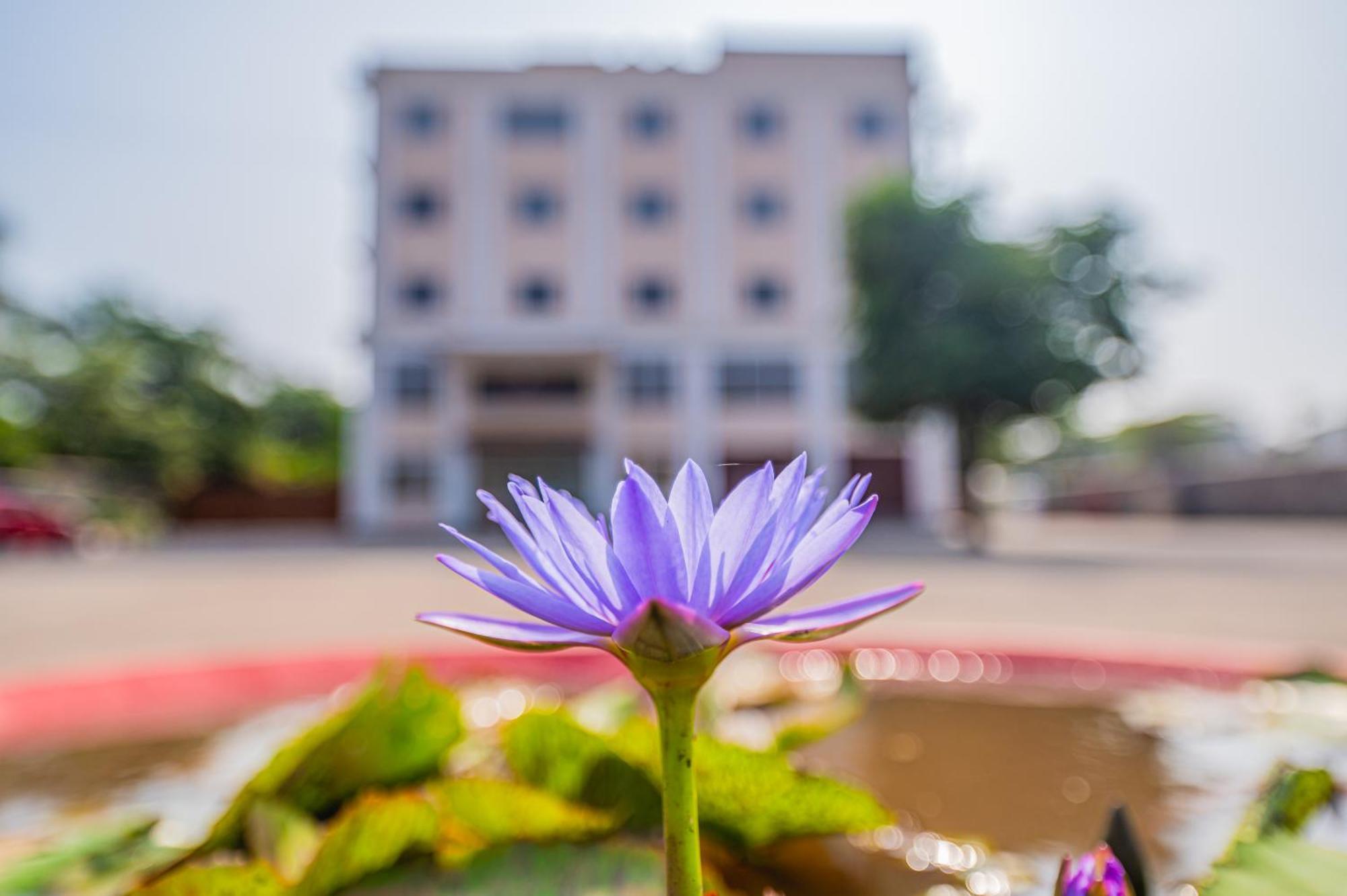 Lotus Leaf Hotel Pali  Exterior foto